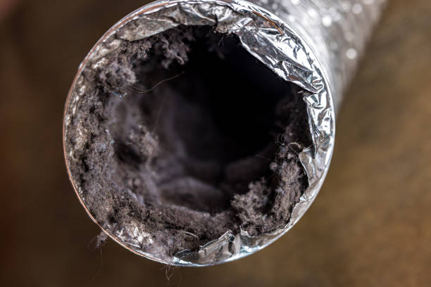 Best Air Duct Sanitizing Services  in Hertford, NC