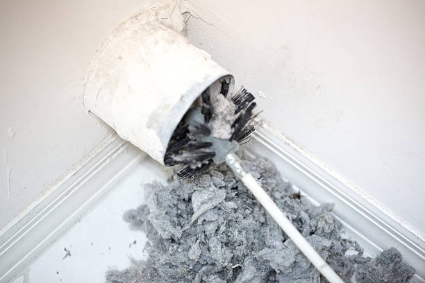 Best Professional Duct Cleaning Services  in Hertford, NC